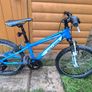 bike Image 6