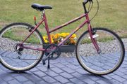 Vintage Townsend Mountain