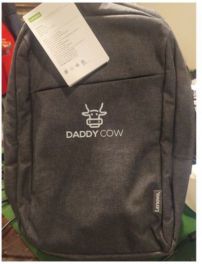 Daddy Cow Grey Lenovo Laptop Bag