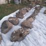 Landscaping Rocks Image 3