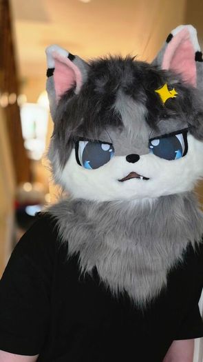 Fursuit Long Fur Husky Fox Mascot Head Party Halloween (Head + Claws)