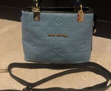 ladies bag