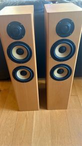 Sony Floor Standing