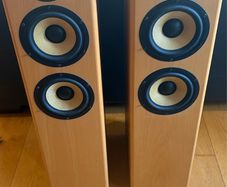 Sony Floor Standing