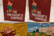 The President's surprise by Peter Donnelly Hardback board book