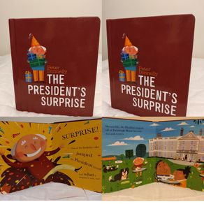 The President's surprise by Peter Donnelly Hardback board book