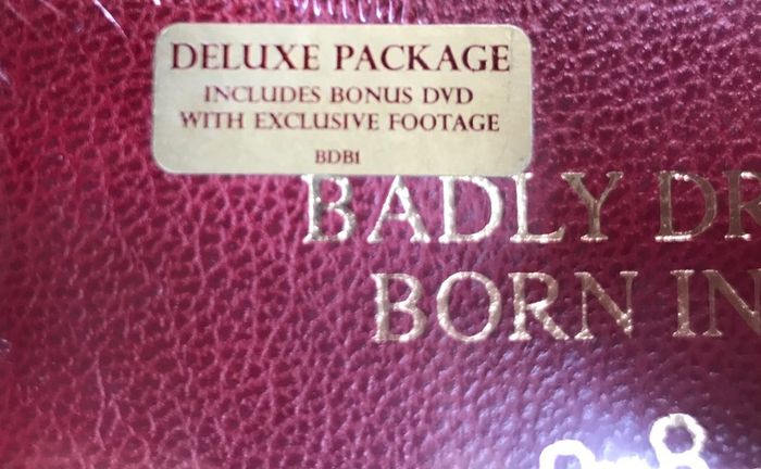 Badly Drawn Boy - Born in the UK