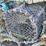 Lobster Pots. 65 or so, as a job lot. Image 9
