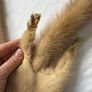 Vintage Real Fur Stole / Scarf Mink Style Retro Fur Wrap Image 4