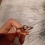 Silver tone bracelet with ball clasp Image 2