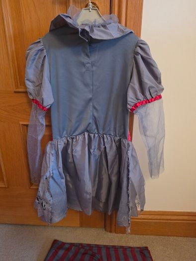 Bad girl clown costume