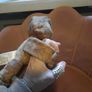 marvel groot snuggle snapper Image 2