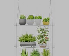 window shelves