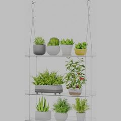 window shelves