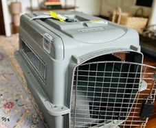 Large dog travel box (airline approved)