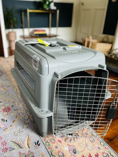 Large dog travel box (airline approved)