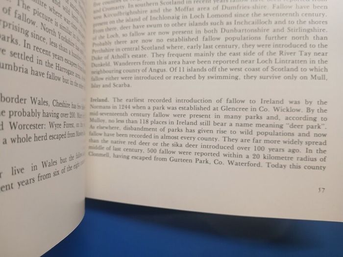 Fallow Deer book