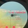 The Flaming Lips - The Terror Image 7