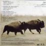 U2 Image 5