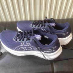 Asics GT 2000 size 42