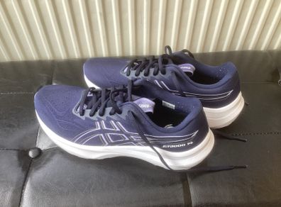 Asics GT 2000 size 42