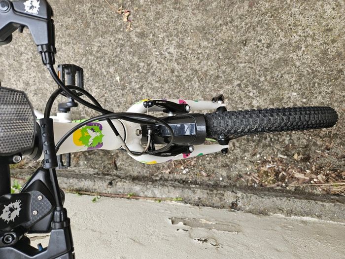 Kids Bike Frog 44