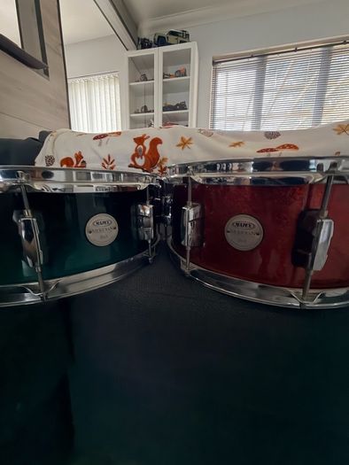 mapex birch snares