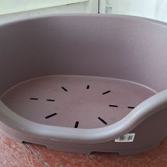 Large Dog Bed
