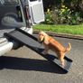 Dog Pet Ramp Folding Lightweight Free Delivery Image 2