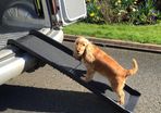 Dog Pet Ramp Plastic Folding Free Delivery To Anywhere In Ireland Paypal Or Card Payments Available On The Website