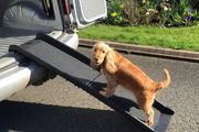 Dog Pet Ramp Plastic Folding Free Delivery To Anywhere In Ireland Paypal Or Card Payments Available On The Website