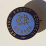 BRITISH RABBIT COUNCIL MEMBER - membership enamel badge (c.1950's) Scarce. Image 4
