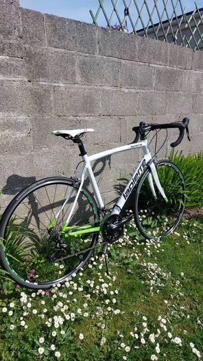 Lapierre Audacio 300 Road Bike - Shimano Sora - Size L/56cm - Fully Serviced - Excellent Condition