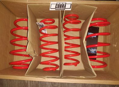 Skoda Superb 3T  1.4TSI 1.8TSI/ 2.0TSI/ 1.6TDI/ 1.9TDI / 2.0TDI High Quality Lowering Springs