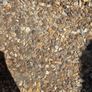 Paving stones Image 4