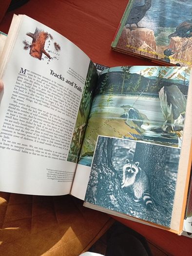 Nature Books