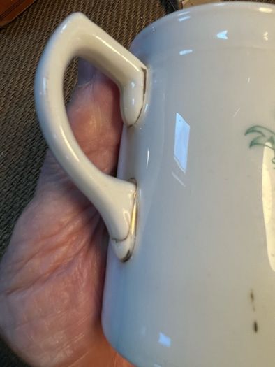 Irish Commemoration Mug 1900