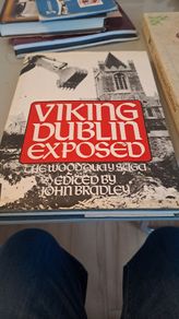 vikings dublin exposed