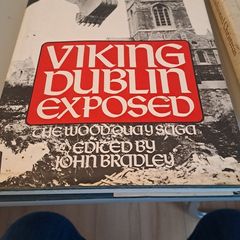 vikings dublin exposed