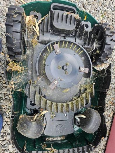 robot lawnmower
