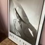 Large print Image 6