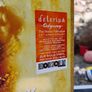 Delerium Odyssey  The Remix Collection Image 2