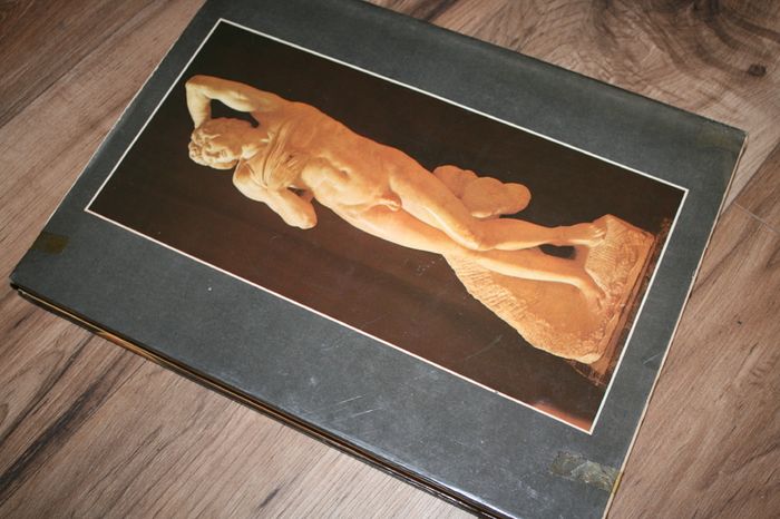 Michelangelo and His Art