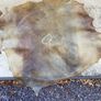 Natural vellum/Parchment skin Image 5