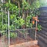 iron gate Image 2