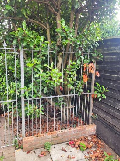 iron gate