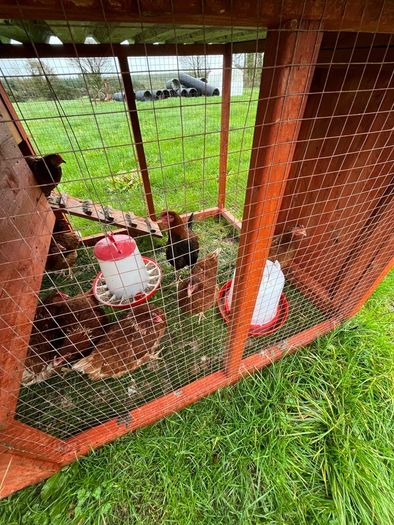 Movable Chicken Coop