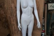 Female Mannequin
