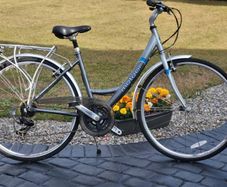 Ladies Bike Good Condition No Offers