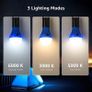 Camping Lights, Battery Powered Tent Lights, Warm and Cool White Modes, Camping Accessories, Hanging Camping Lantern, Suit for Hiking, Fishing, Power Cuts, Pack of 4 Image 2